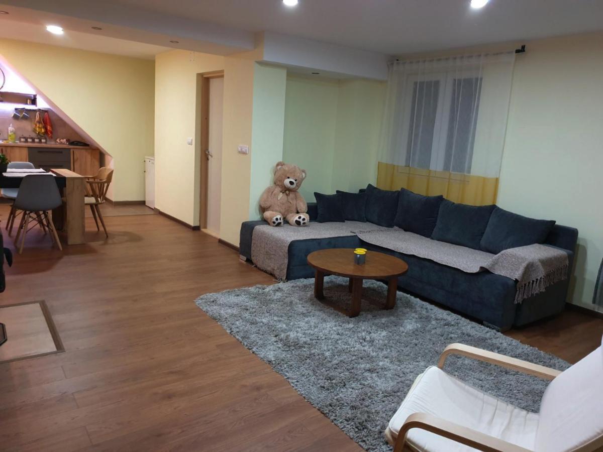 Nikas Apartman Donji Milanovac Exterior photo